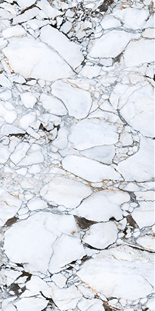 GFPC 1224309 (коннект во все стороны)