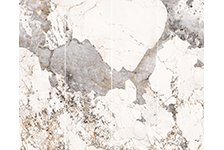 GFPC 826165