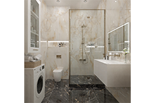 BSP 126311+PIF 157520