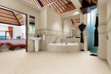 BEAUTY SHINE (BYS 63051)