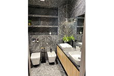 BSH 126328+ HSA 6028 (1)