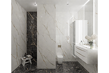 BSP 126311+ PIF 157522