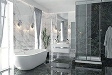 GFPC 826608,GFPC 826644