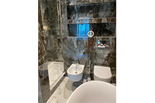 BSP 126312+ PSA 6010 (1)