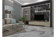 BSP 126311+BSP 126302