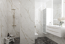 PIF 157522+BSP 126311