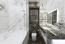 BSP126237+BSP 126312