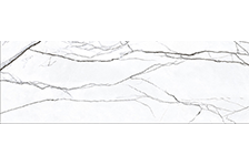 GFP 927113-1