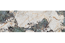 GFPC 927125_1