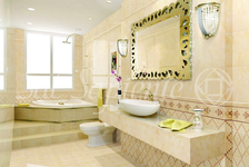 LEONARDO STYLE (DVP 36019)