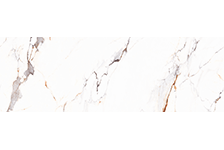 GFPC 927178-C