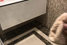 PSA 6027H + PSA 6003