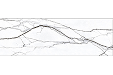 GFP 927113-7