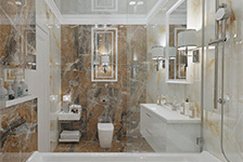 BSP126046+BSP 126340