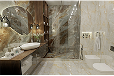 BSP 126330+BSP 126338