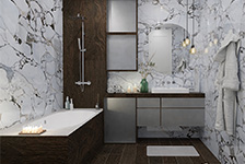 GFPC 1224309,GWD122079