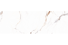 GFPC 927178-D