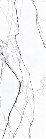 GFP 927113 75,00